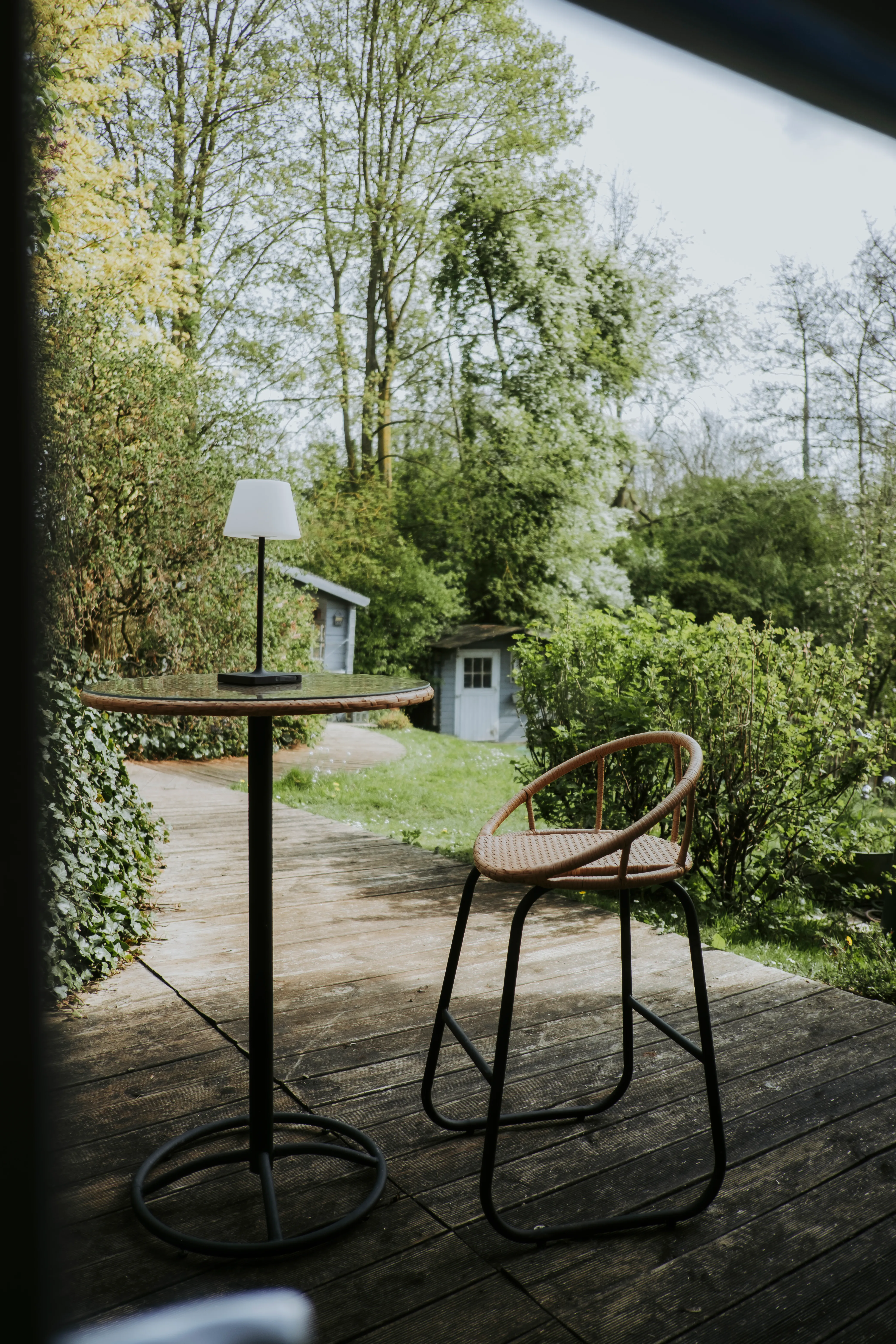 Le jardin et ses arbres