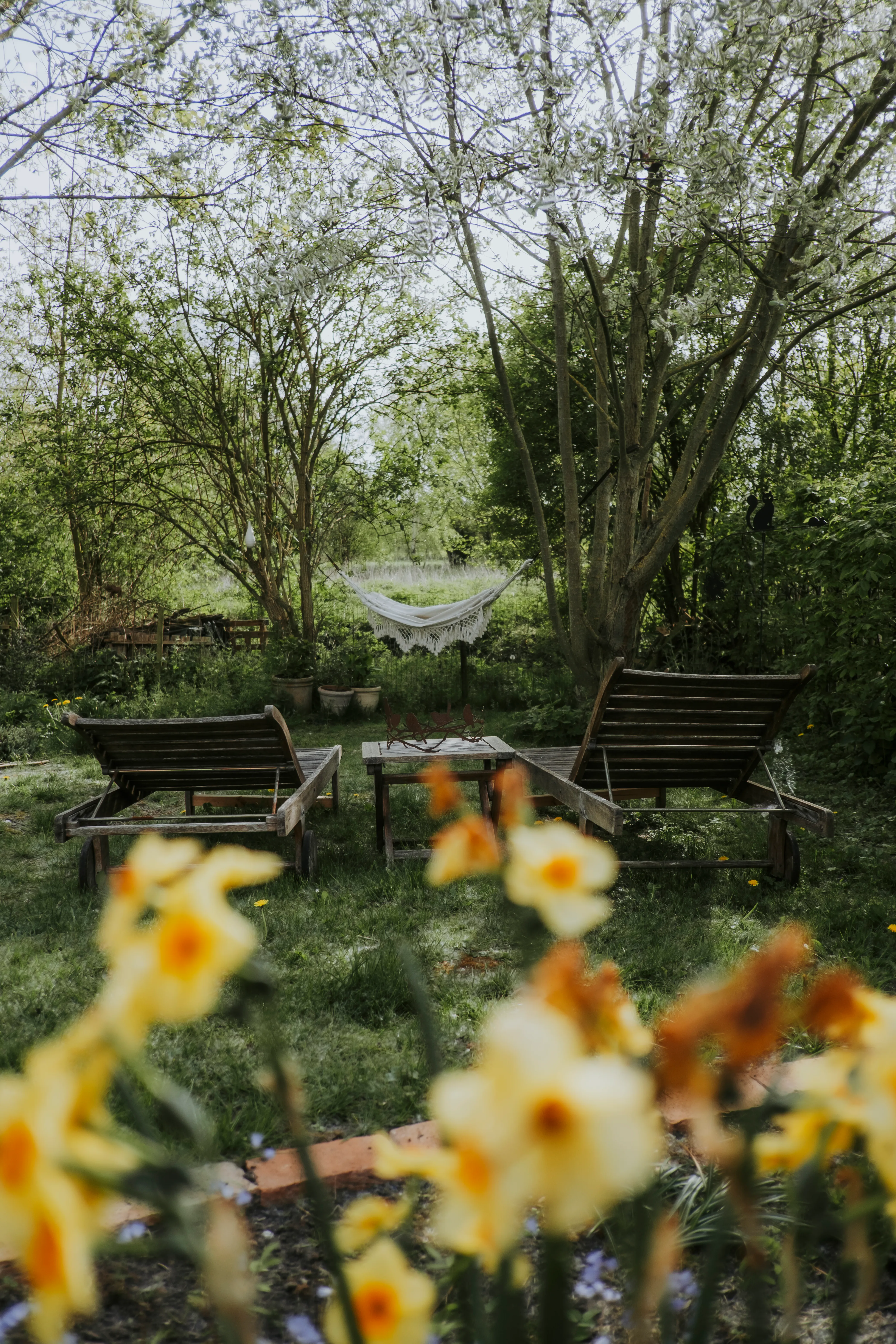 Le jardin et ses chaises longues